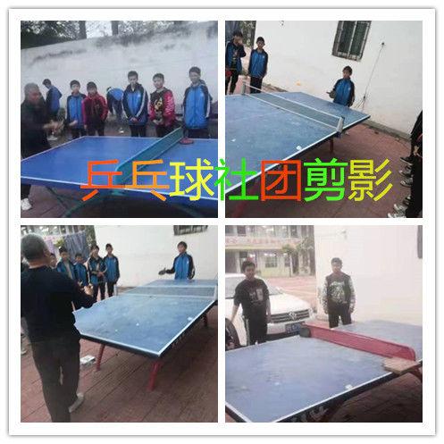 邂逅金秋美在社团---杨营一初中社团活动纪实