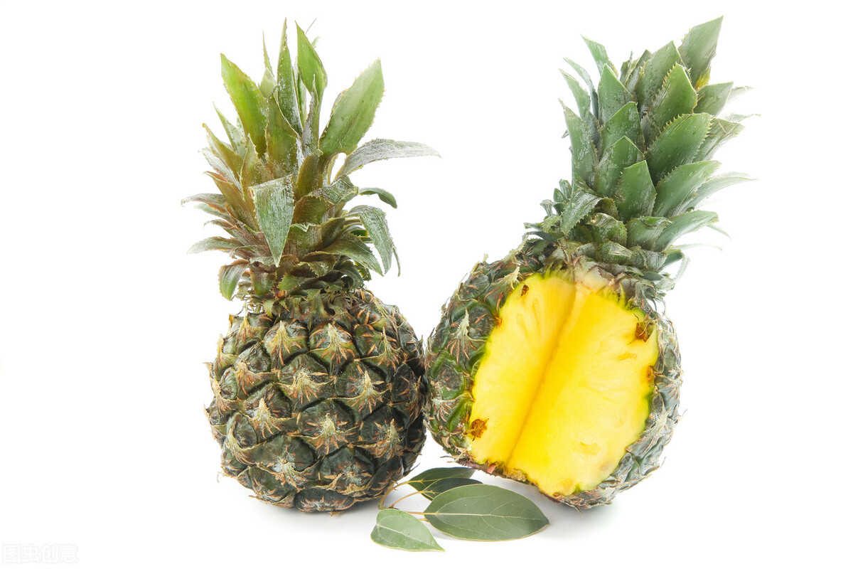 鍏寸彔娴撶缉鏋滄眮,鍏寸彔