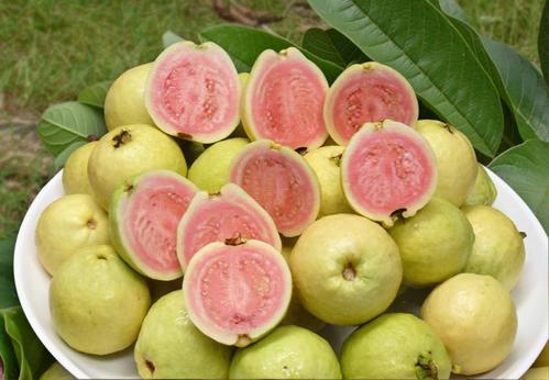 口感最甜的芭乐,什么颜色的芭乐好吃又甜
