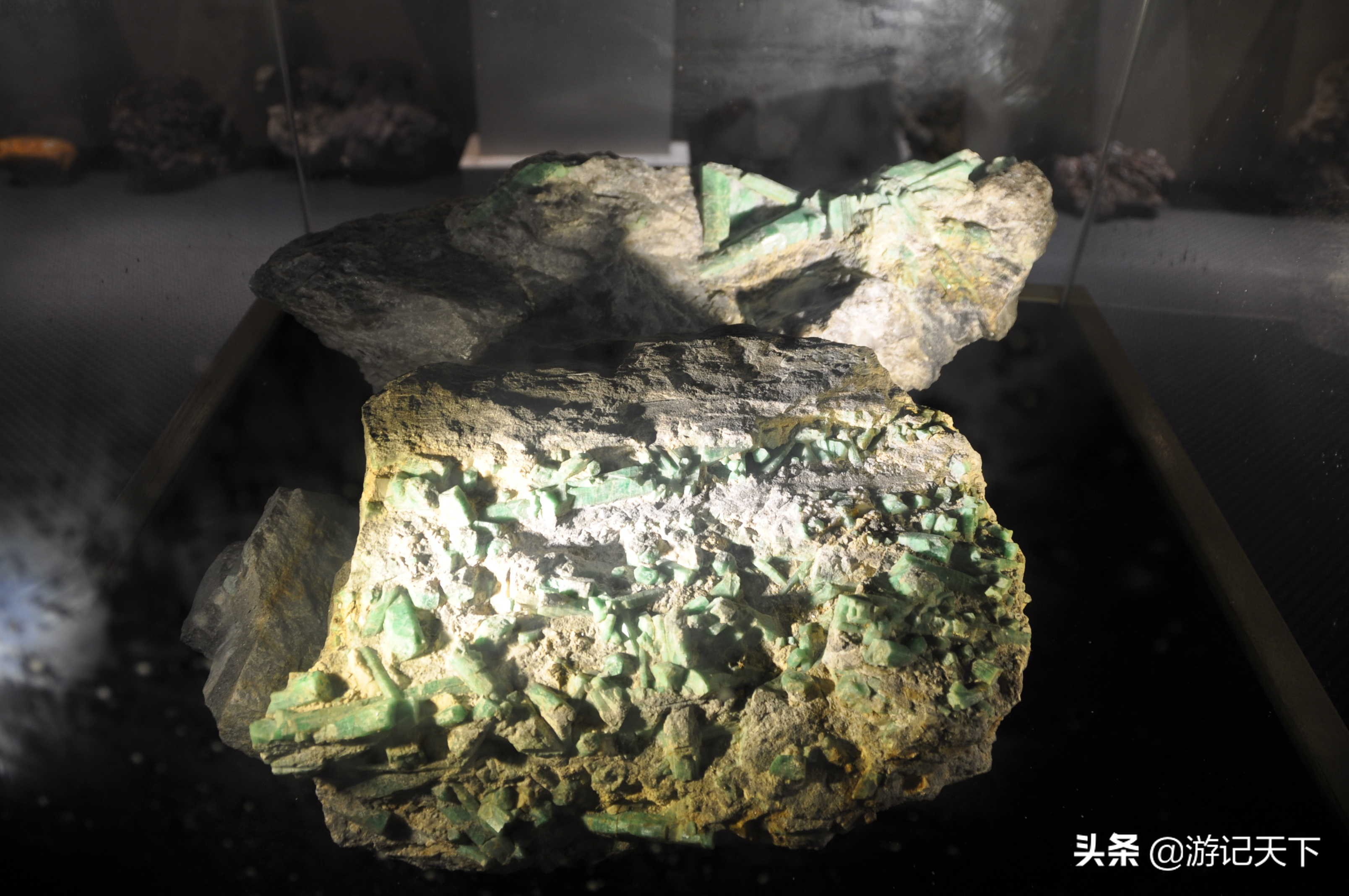 参观上海东方地质科普馆,上海东方地质科普馆需要预约吗