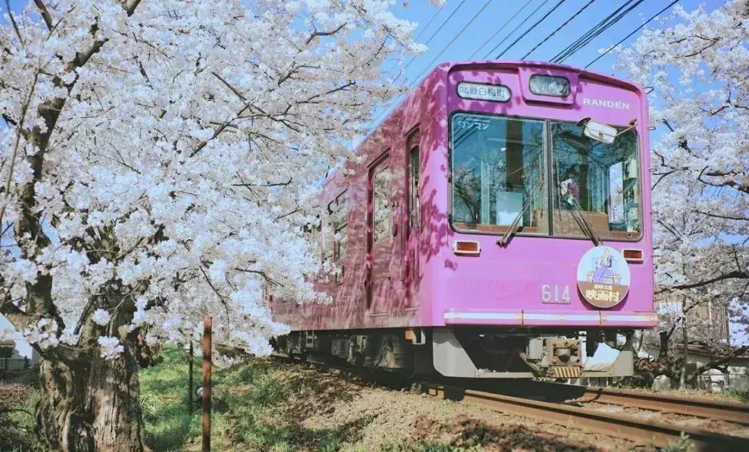 出境游报告最新,出境游细则