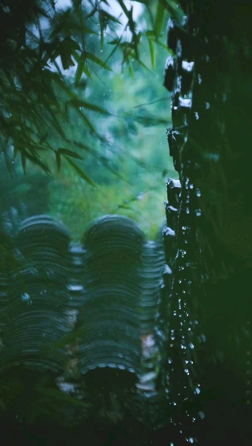 怀念过往的岁月散文,感悟流年散文