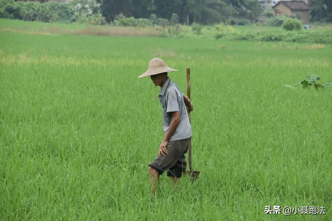 小聂的创业,小聂创业版