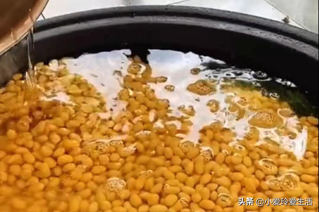 东北大豆酱的家常菜做法,大豆酱可以做什么