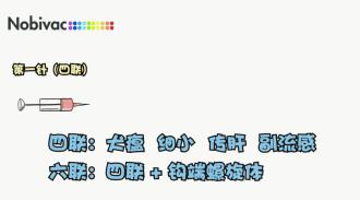 宠物疫苗怎么打,宠物狗每年都需要打狂犬疫苗吗