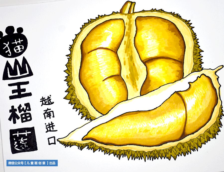 水果简笔画儿童画教程,儿童画水彩笔画教程动物