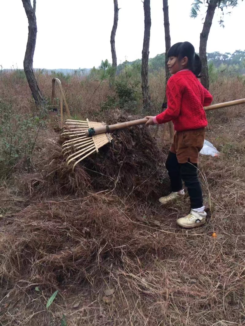原创：两孩子是我的祖先