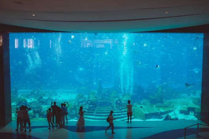 年前体验海南风情，三亚有我不变的梦