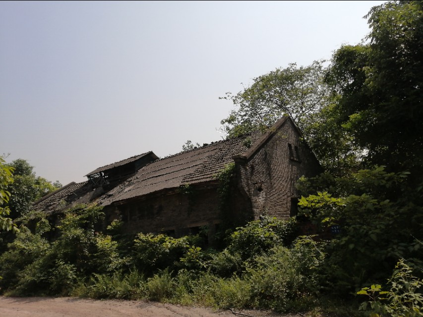 扫街日记100篇,扫街日记视频