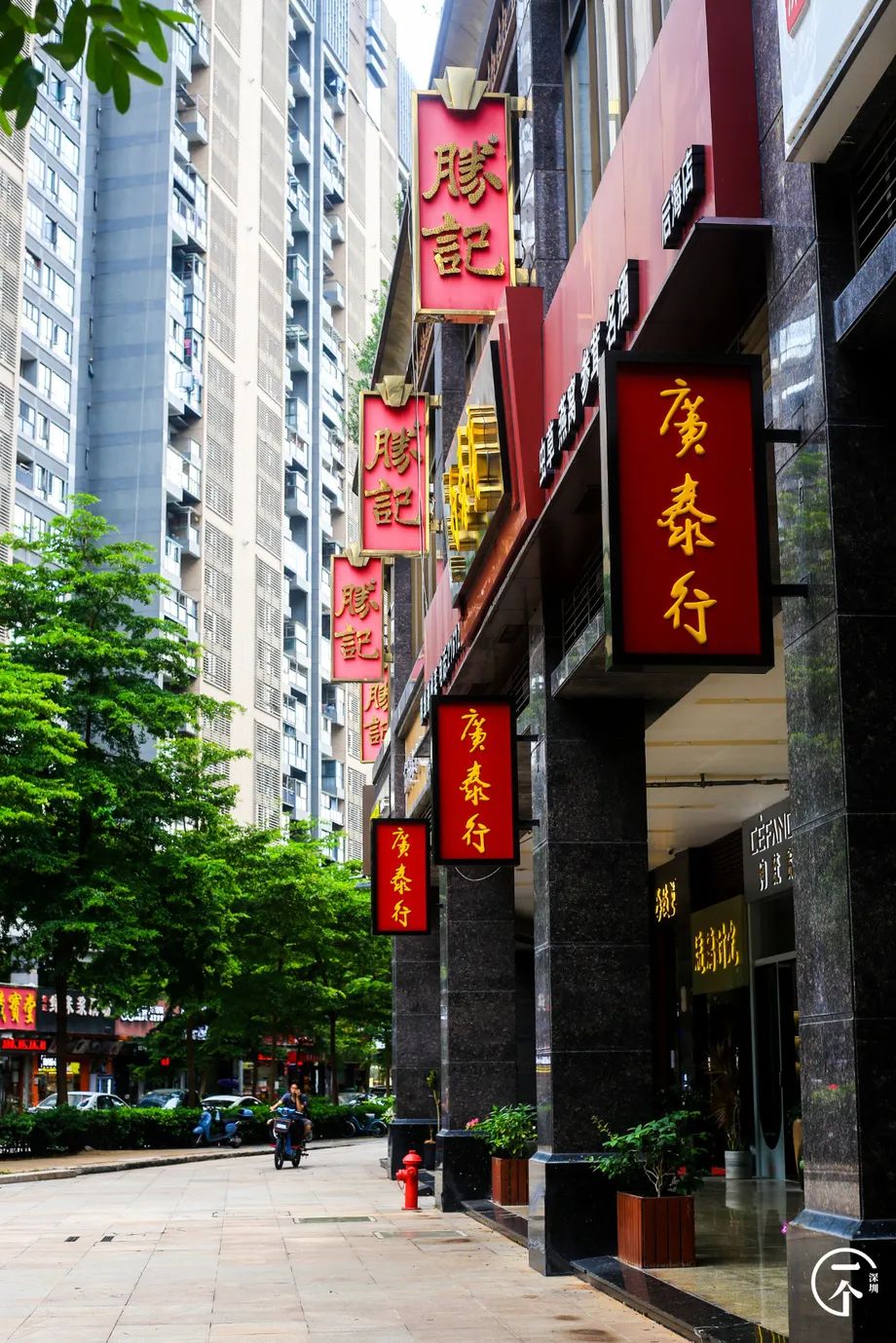 测评深圳湾,我直接被房租劝退