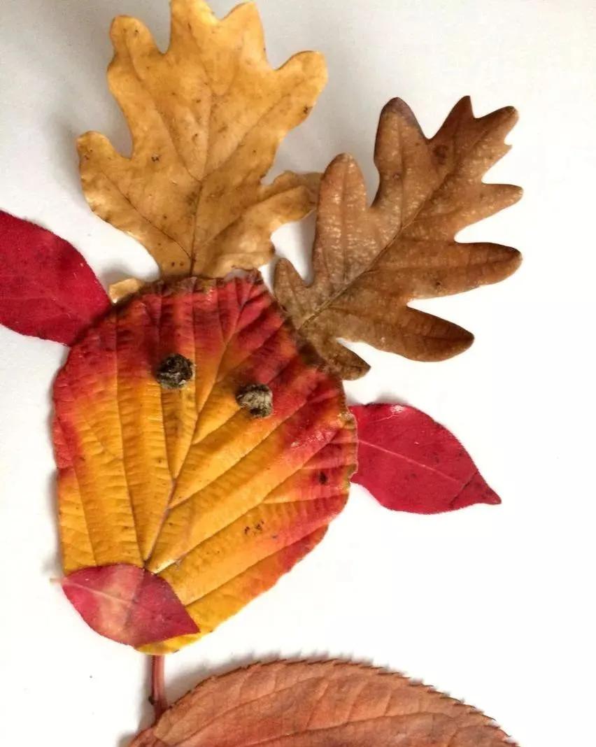 有多少种各种各样的小动物呢,用落叶做可爱的小动物