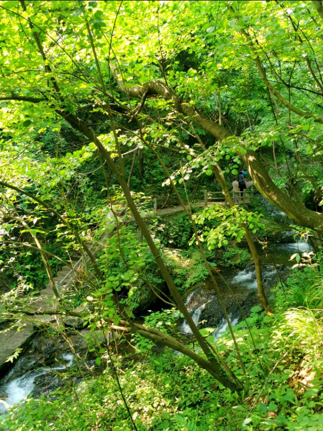 最美乡村风景山沟沟,河南必去的深山最美古村落