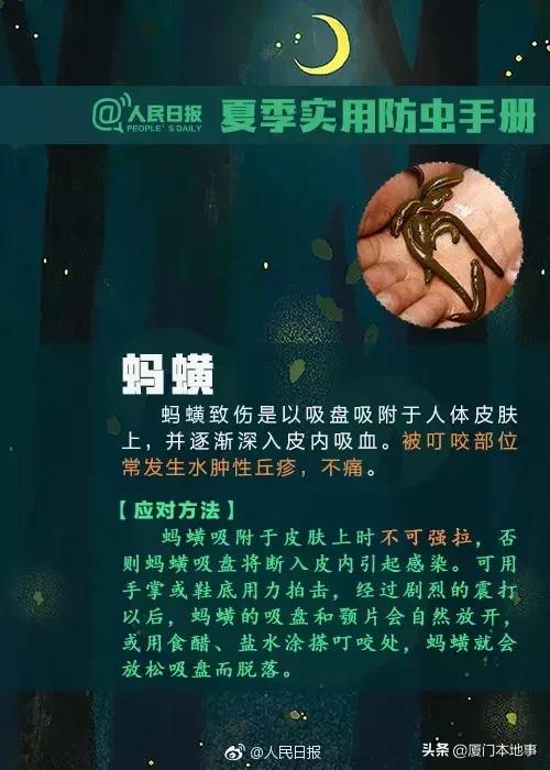 厦门人当心！又有虫子出来惹事！被咬后严重可危及生命