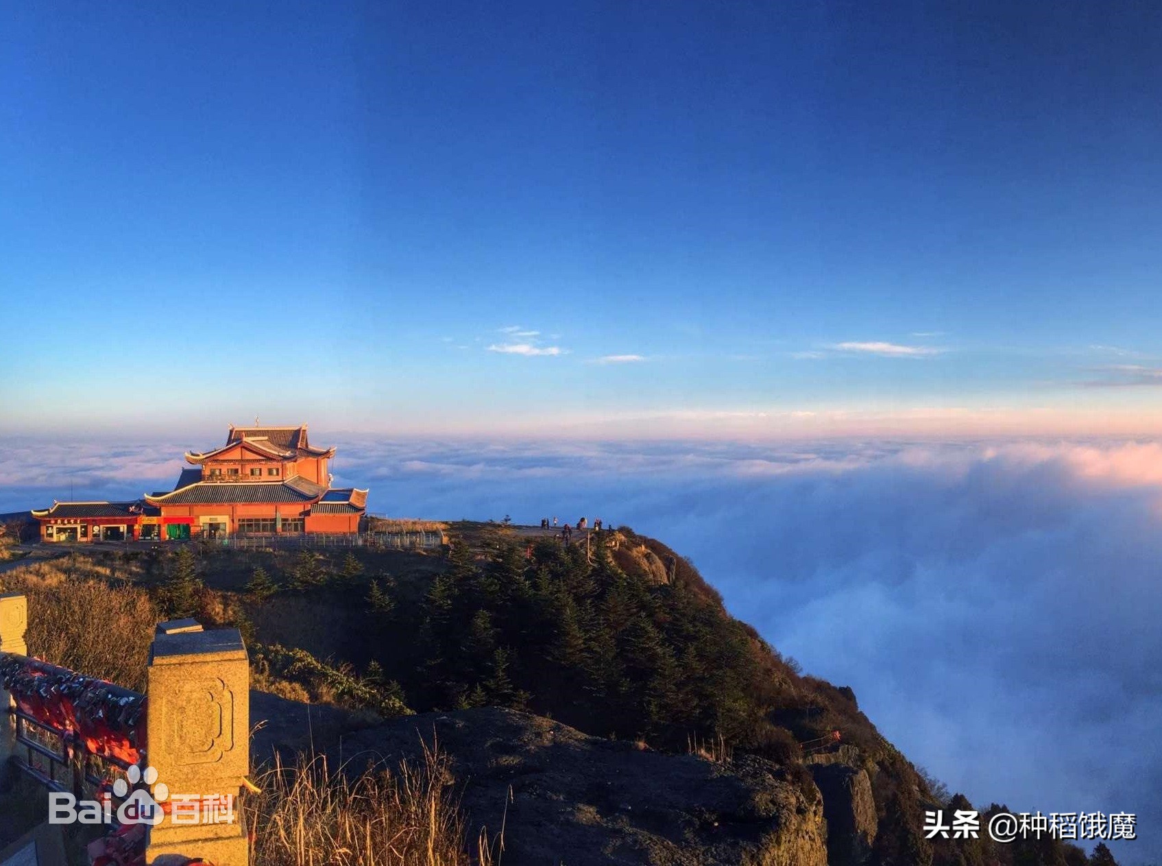海棠香国景区,海棠香国到底在哪