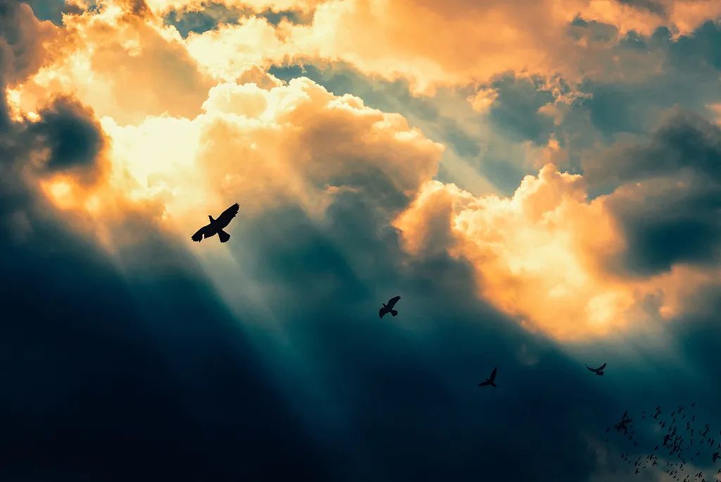 用一句歌词总结你的2020,用一首歌来结束你的2020