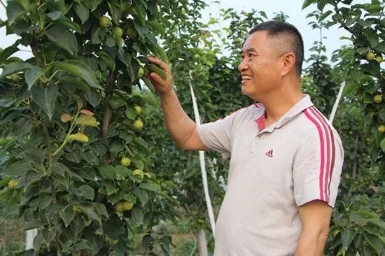 案例|农村三产融合新样板:梨园公社(堪称经典)