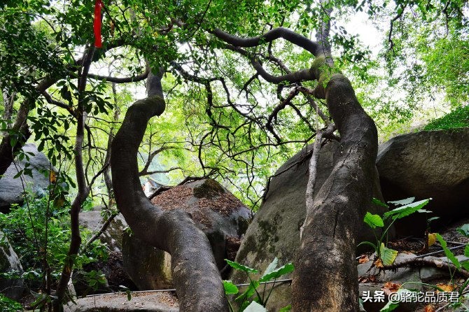 厦门海边之旅,厦门小众旅游体验
