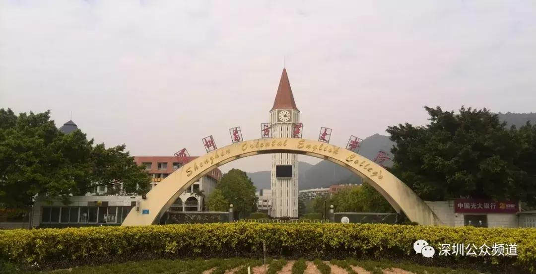 深圳贵族小学,深圳贵族小学排名前十名