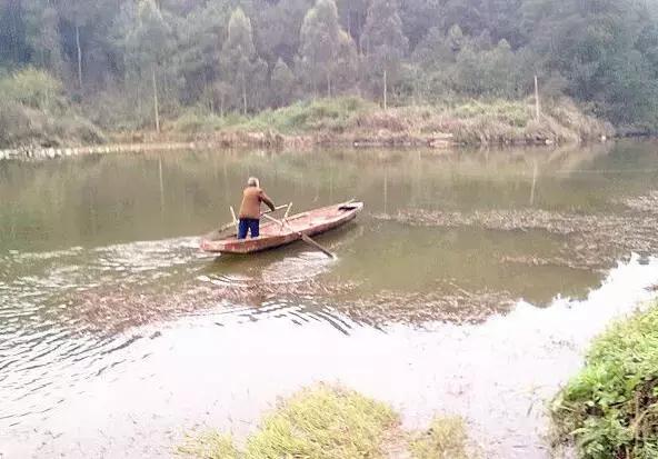 钓鱼悬钓方法,抬线钓怎么做