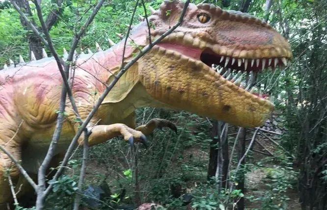 济南动物王国一日游详细攻略,济南一日游动物园