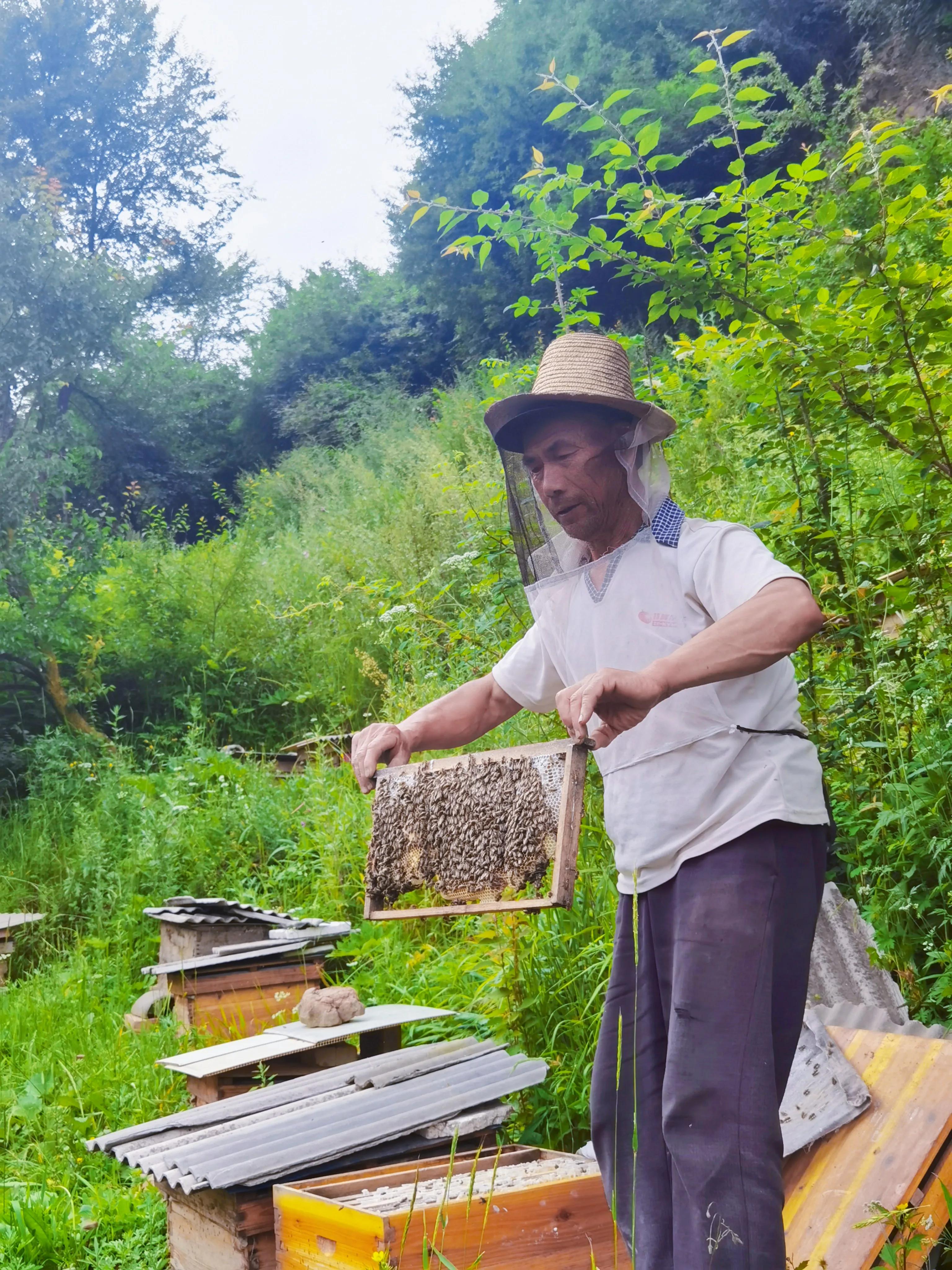 讲好家乡故事助力乡村振兴,讲好乡村振兴故事由哪个部门负责