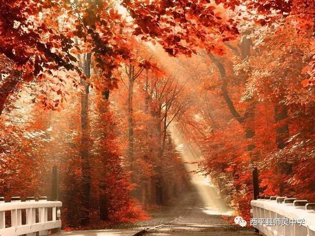 excel中成绩单怎么弄公式和函数,excel怎么做成绩通知单