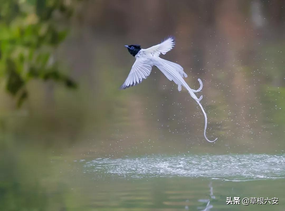 霍山一等奖名单,霍山县在全省排名多少位