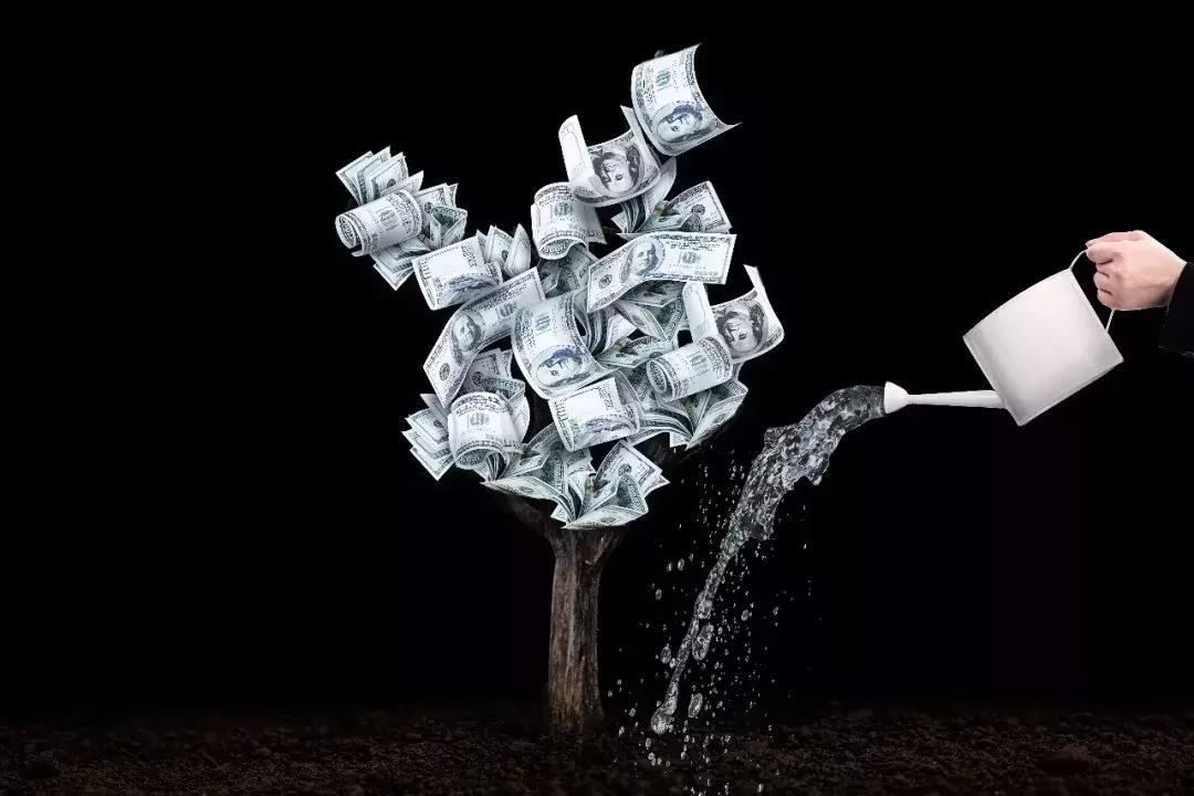 如何避免投资中的羊群效应,羊群效应之下市场绝不会理性思考