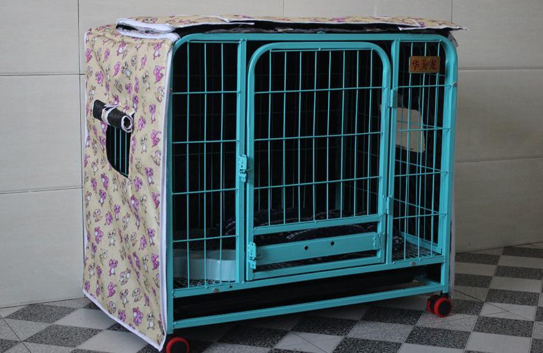 买回来的狗狗一天到晚狂吠不止，你的胡乱操作会把他变成流浪狗