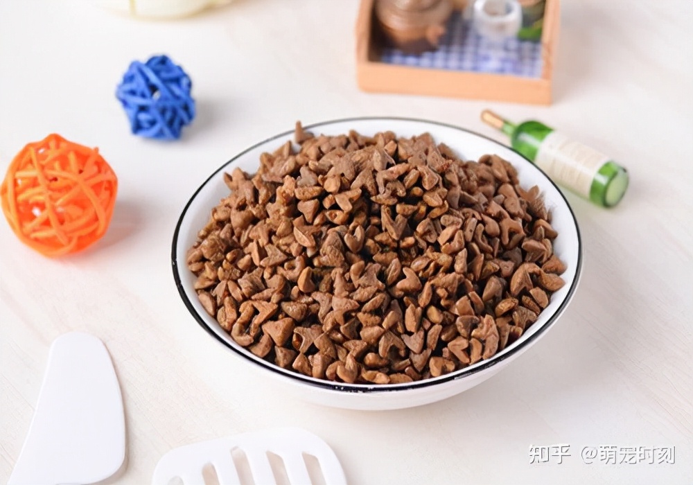 狗狗挑食基本不咋吃东西怎么办,狗狗挑食不爱吃饭怎么办