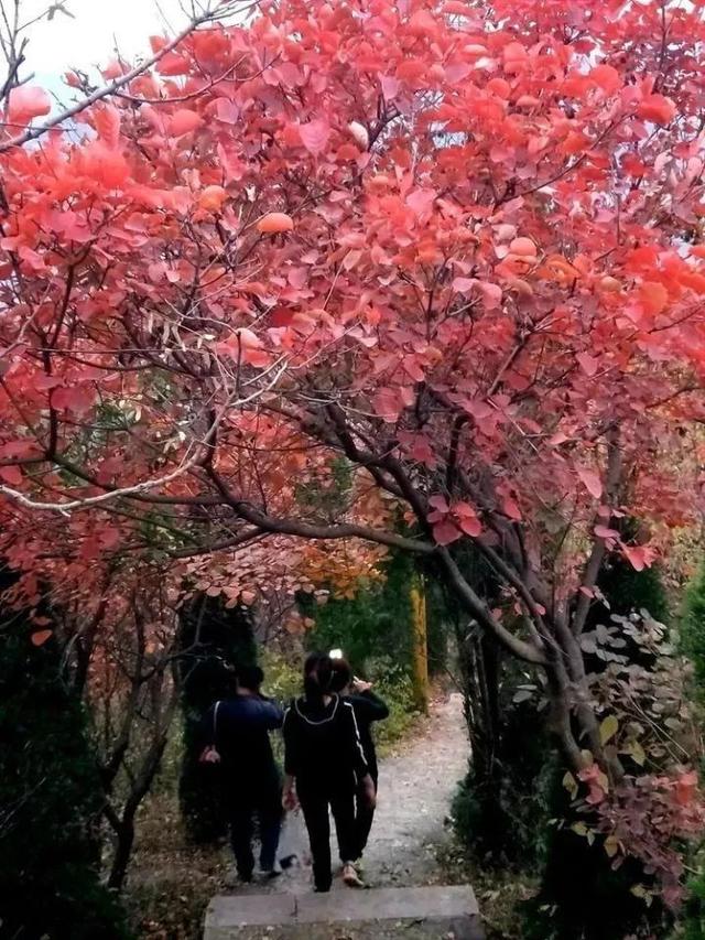 济南旅游景点推荐带孩子玩,济南旅游景点推荐适合带孩子