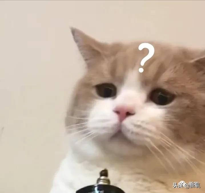 宁静和郑希怡对比,郑希怡和宁静对比