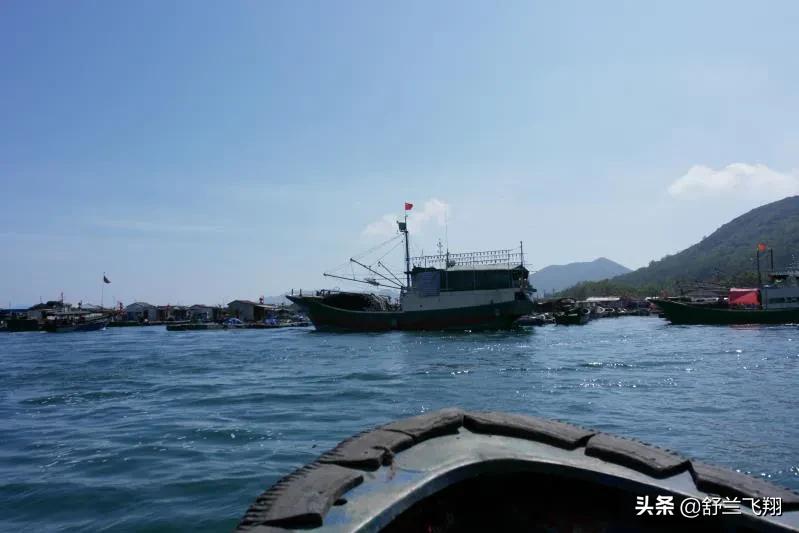 海南南湾猴岛上的猴子,海南著名的南湾猴岛在哪里