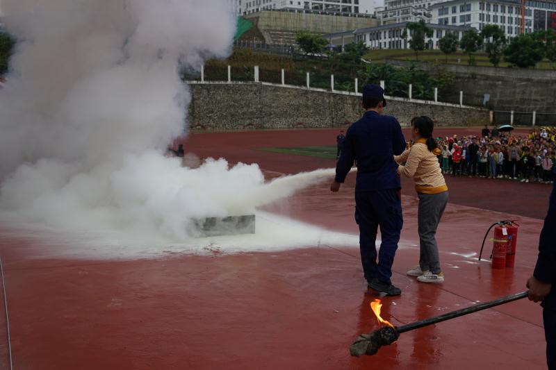 实验小学党建引领教育教学等工作,党建引领小学特色发展