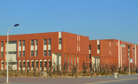 读5年制大专考不上专升本还想读,五年制大专专升本毕业证