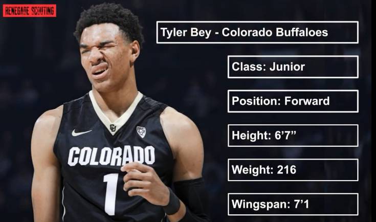 历史第一臂展波尔,历史第一臂展