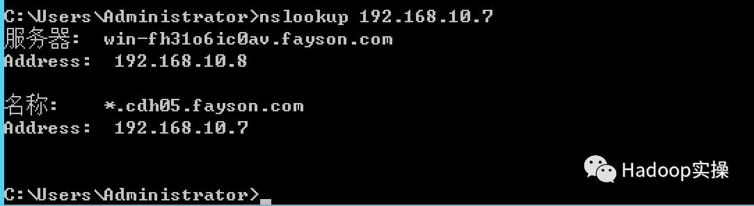 winserver2012dns服务查询,windows如何搭建虚拟dns服务器