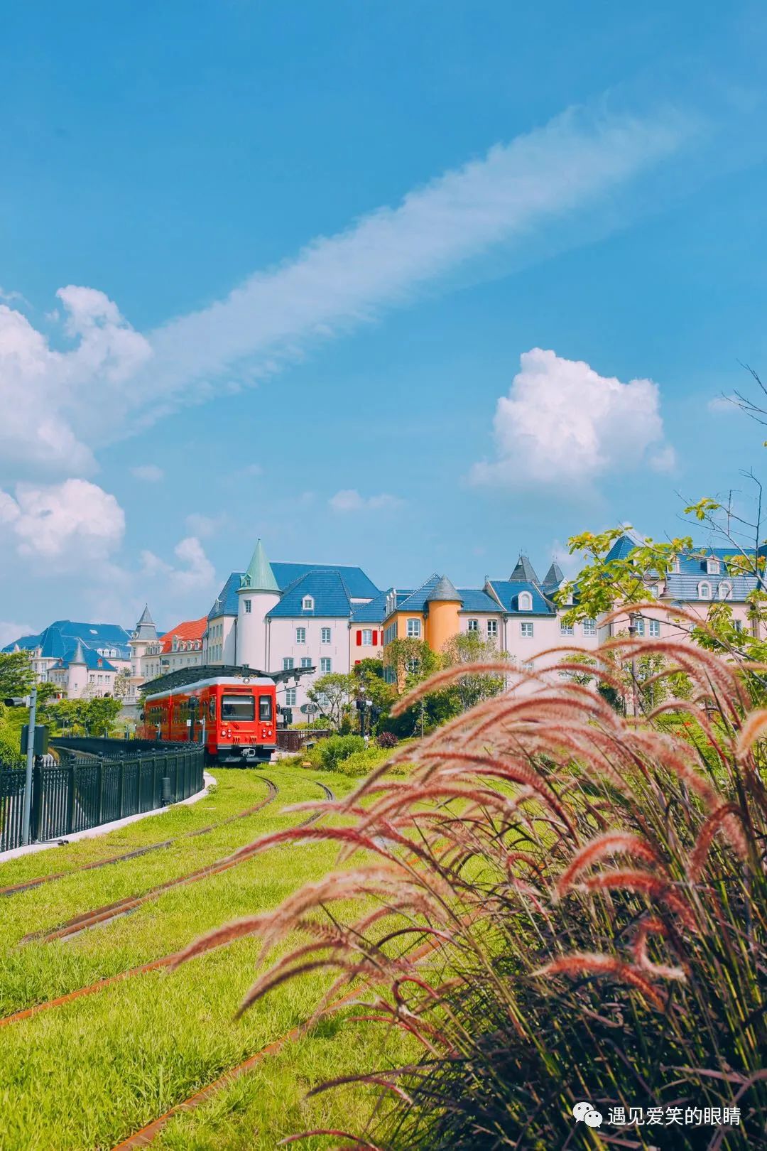 新生儿四脚吞金兽,孩子还没出生就开始溺爱