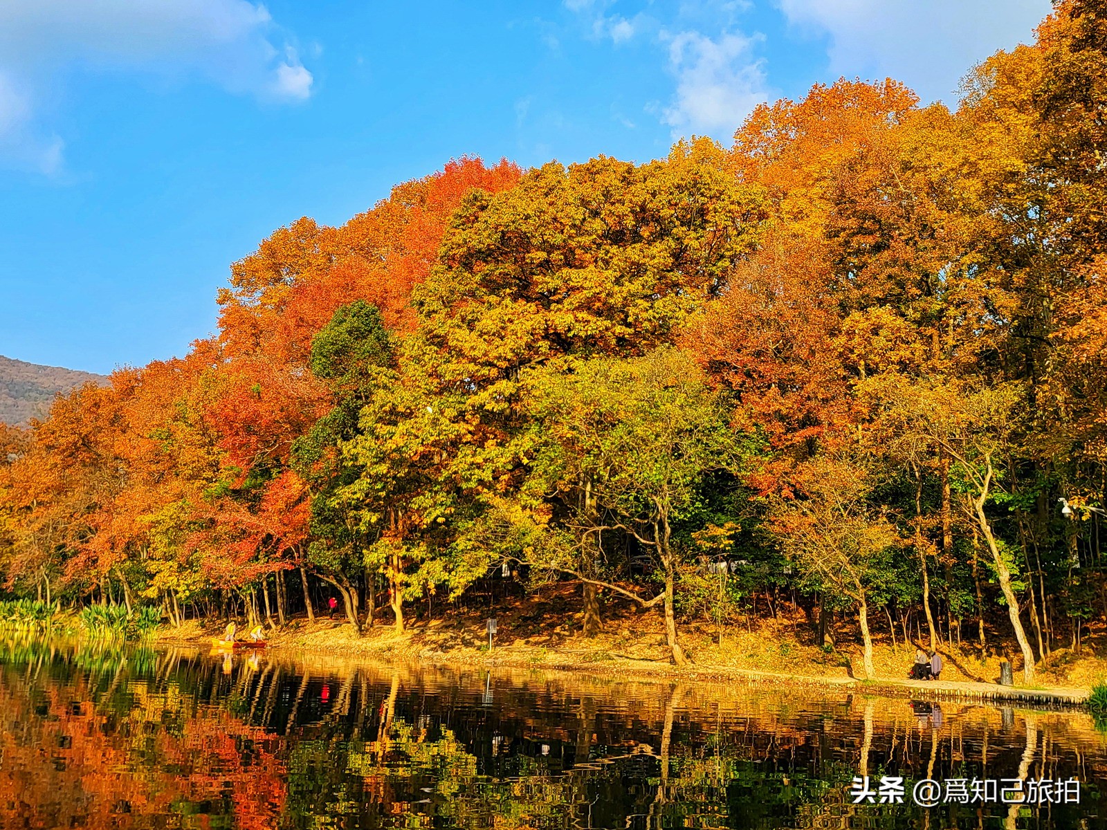 美在金陵文艺大咖秀,美在金陵梁梅