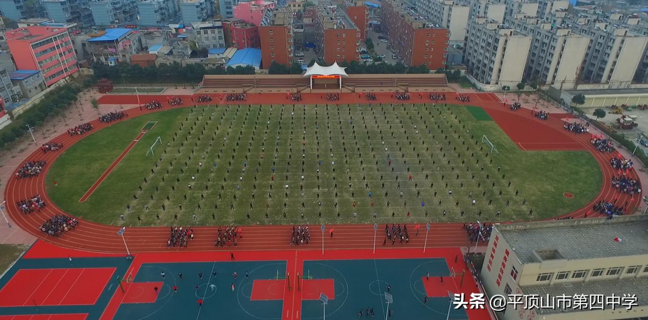 平顶山二中篮球特长生招生条件,平顶山四中武术特长生招生条件
