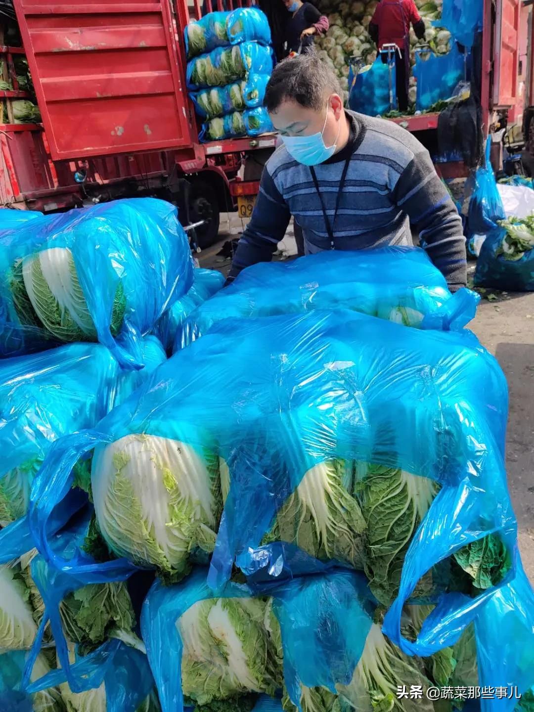 大白菜蔬菜今日菜价,大白菜最新批发价