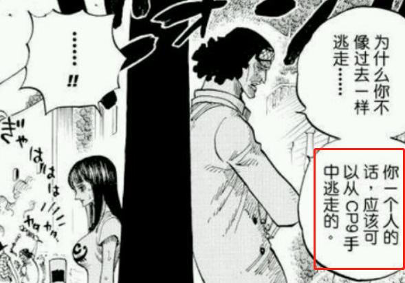 海贼王罗宾技能大全,海贼王罗宾实力分析