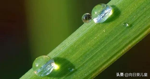 为什么这个孩子服用中草药后,肿瘤消失了?