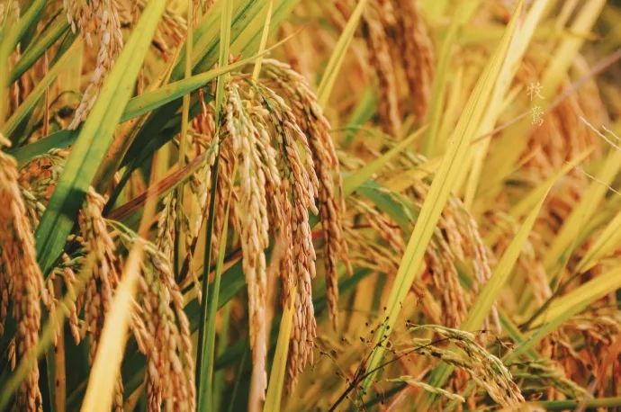 10年前，那个花83元穷游*藏西**的姑娘，后来怎么样了？