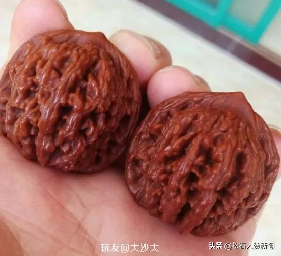 核桃树上的核桃可以盘吗,便宜的核桃能盘出效果吗