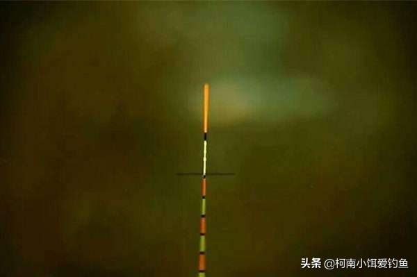 野钓窝点有鱼但不吃饵,钓鱼窝点有鱼怎么办