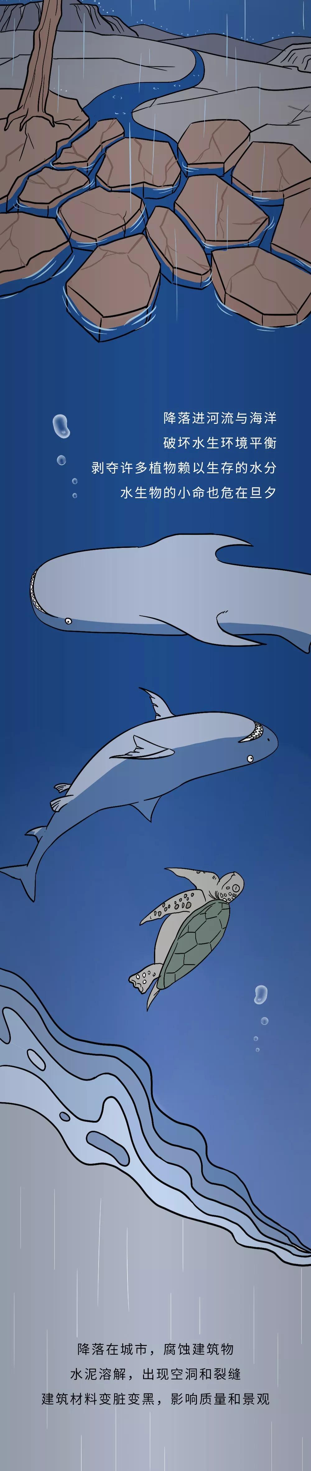 连续吸十天氧会中毒吗,刚吸一口汽车尾气会怎样