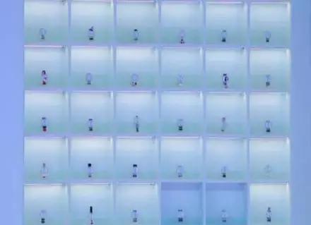 大s美妆节目,大s主持美妆节目气垫