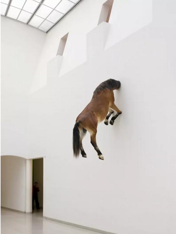 香蕉艺术品拍出12万,香蕉贴墙上能变艺术品