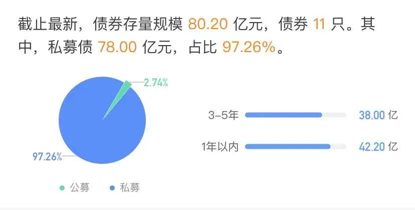 城投公司被纳入被执行人,城投集团被执行人名单